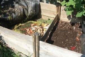 Choosing compost