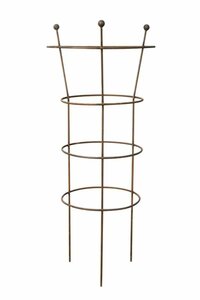 Perennial Plant Support 75CM - image 2